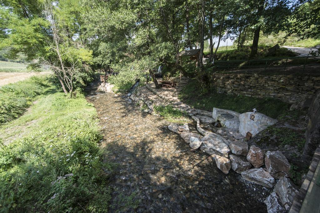 Apartmán Gradacka Banja Brvnare Exteriér fotografie